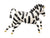 39" Zebra Animal Balloon - Stesha Party