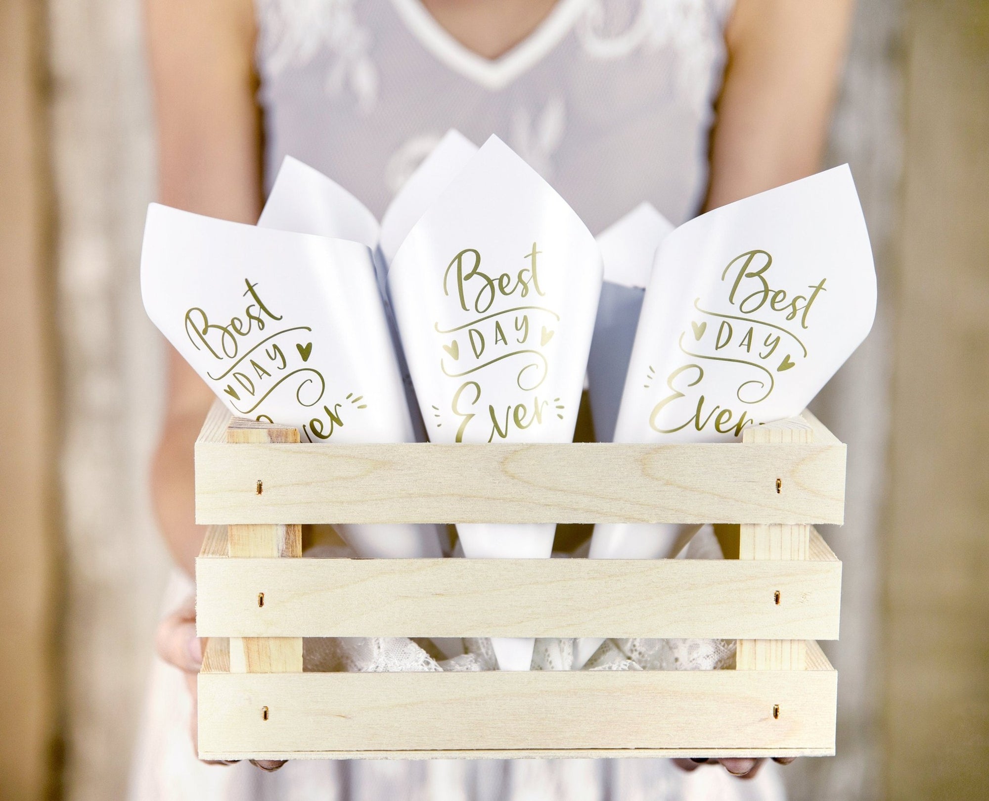 Best Day Ever Confetti Cones - Stesha Party