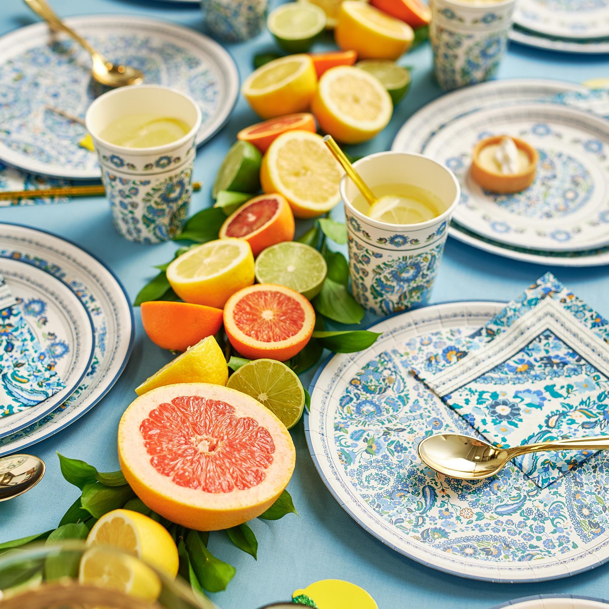 Blue Floral Dinner Plates - Stesha Party