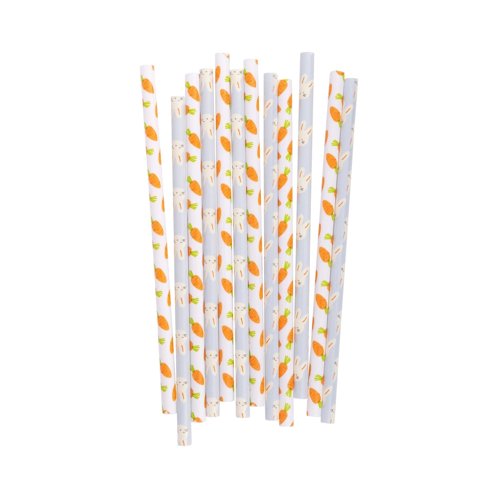 Bunny & Carrot Plastic Straws - Stesha Party