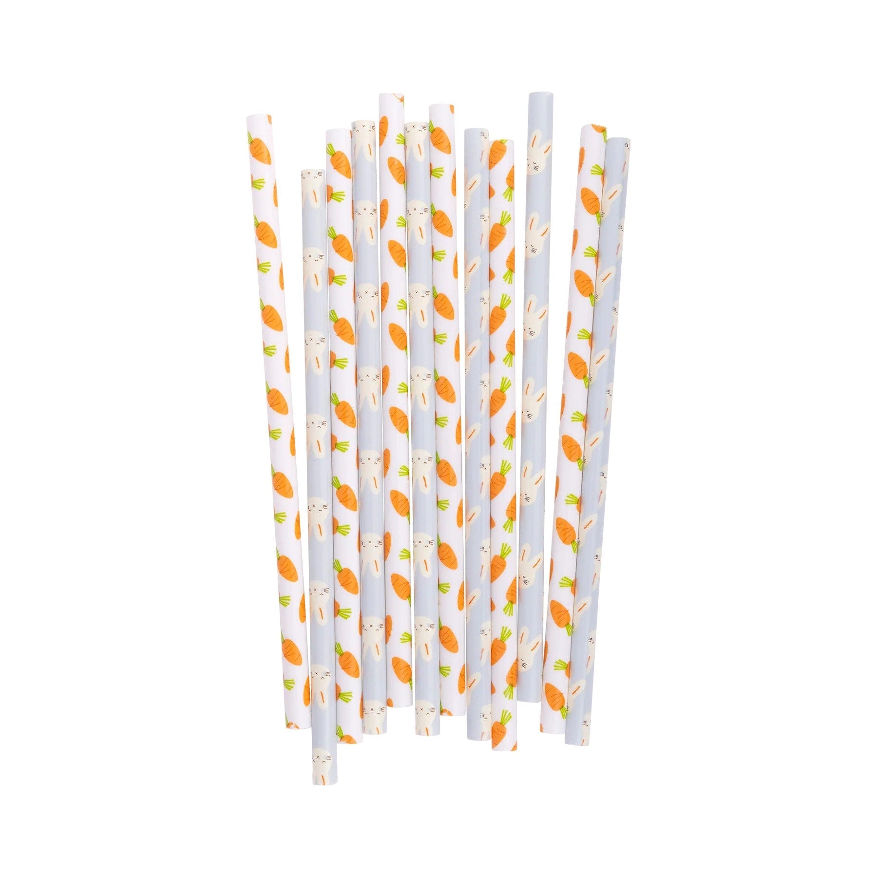 Bunny & Carrot Plastic Straws - Stesha Party