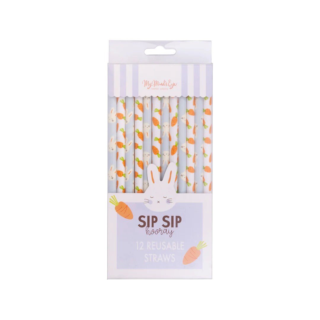 Bunny & Carrot Plastic Straws - Stesha Party