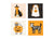 Costume Pets Halloween Napkins - Stesha Party