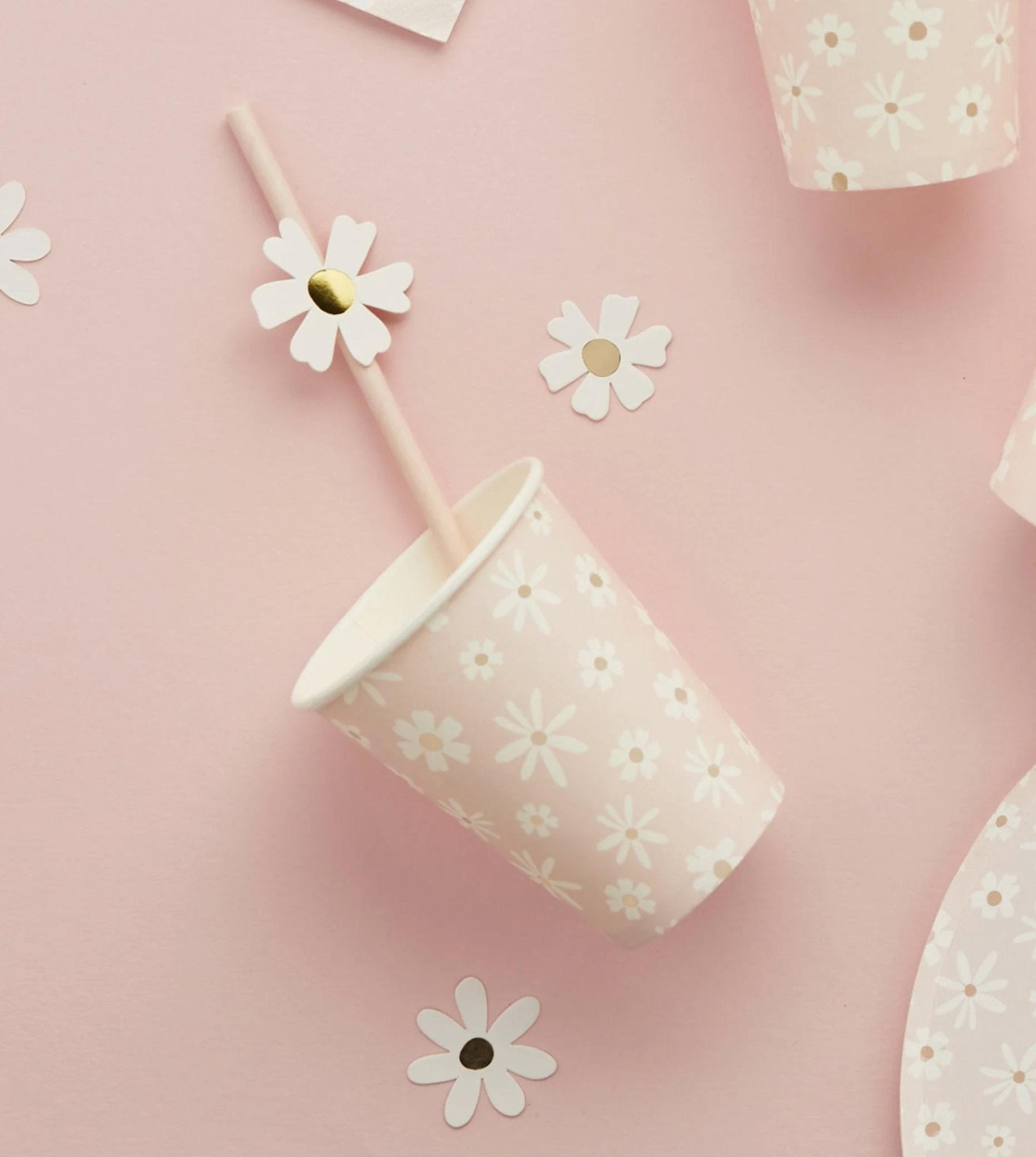 Daisy Confetti - Stesha Party