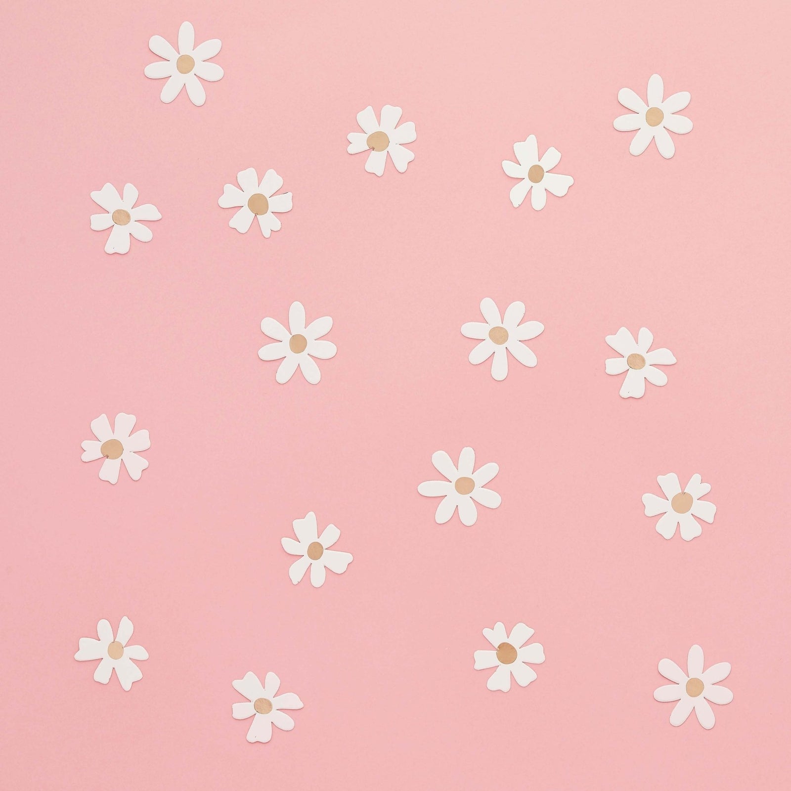 Daisy Confetti - Stesha Party