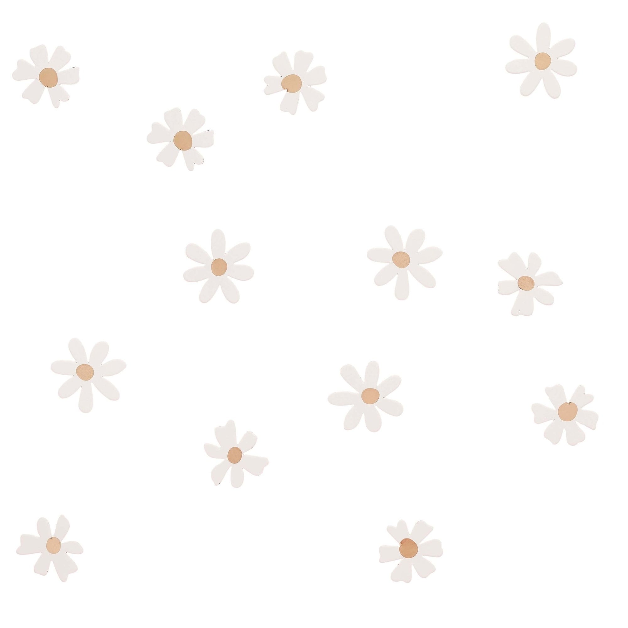 Daisy Confetti - Stesha Party