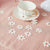 Daisy Confetti - Stesha Party