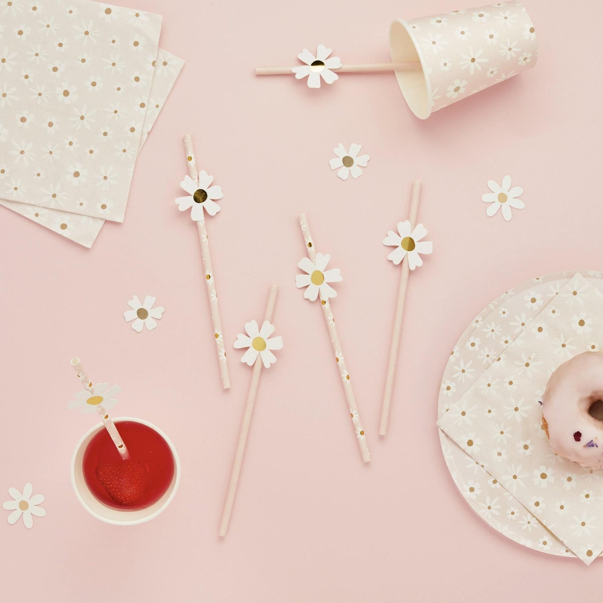 Daisy Confetti - Stesha Party