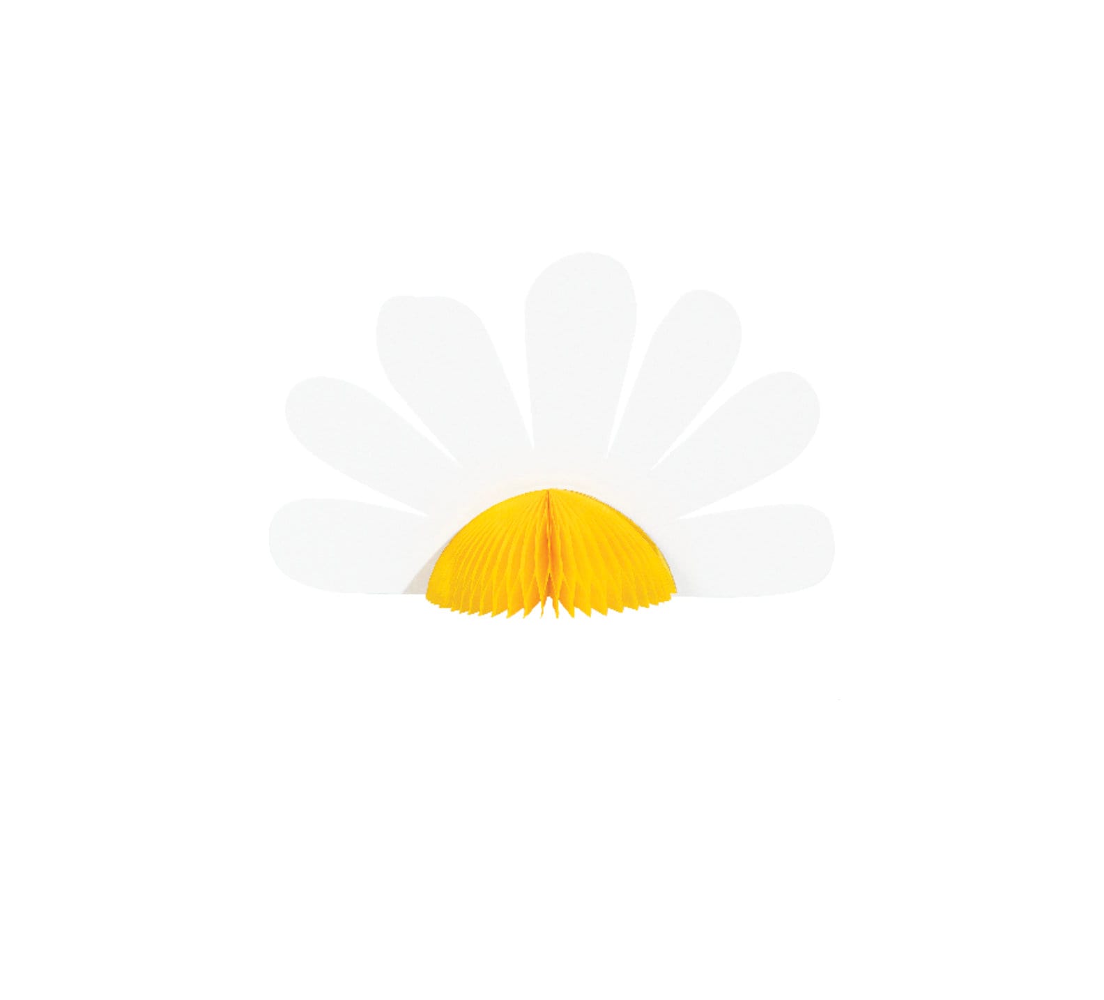 Daisy Party Centerpiece - Stesha Party