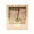 Floral Garden Treat Boxes 12ct - Stesha Party