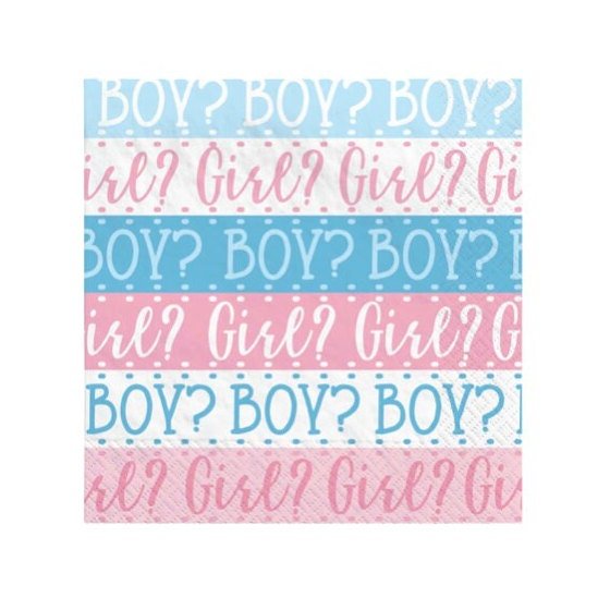 Gender Reveal Party Napkins - Stesha Party