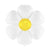 Groovy Daisy Flower Balloon - Stesha Party