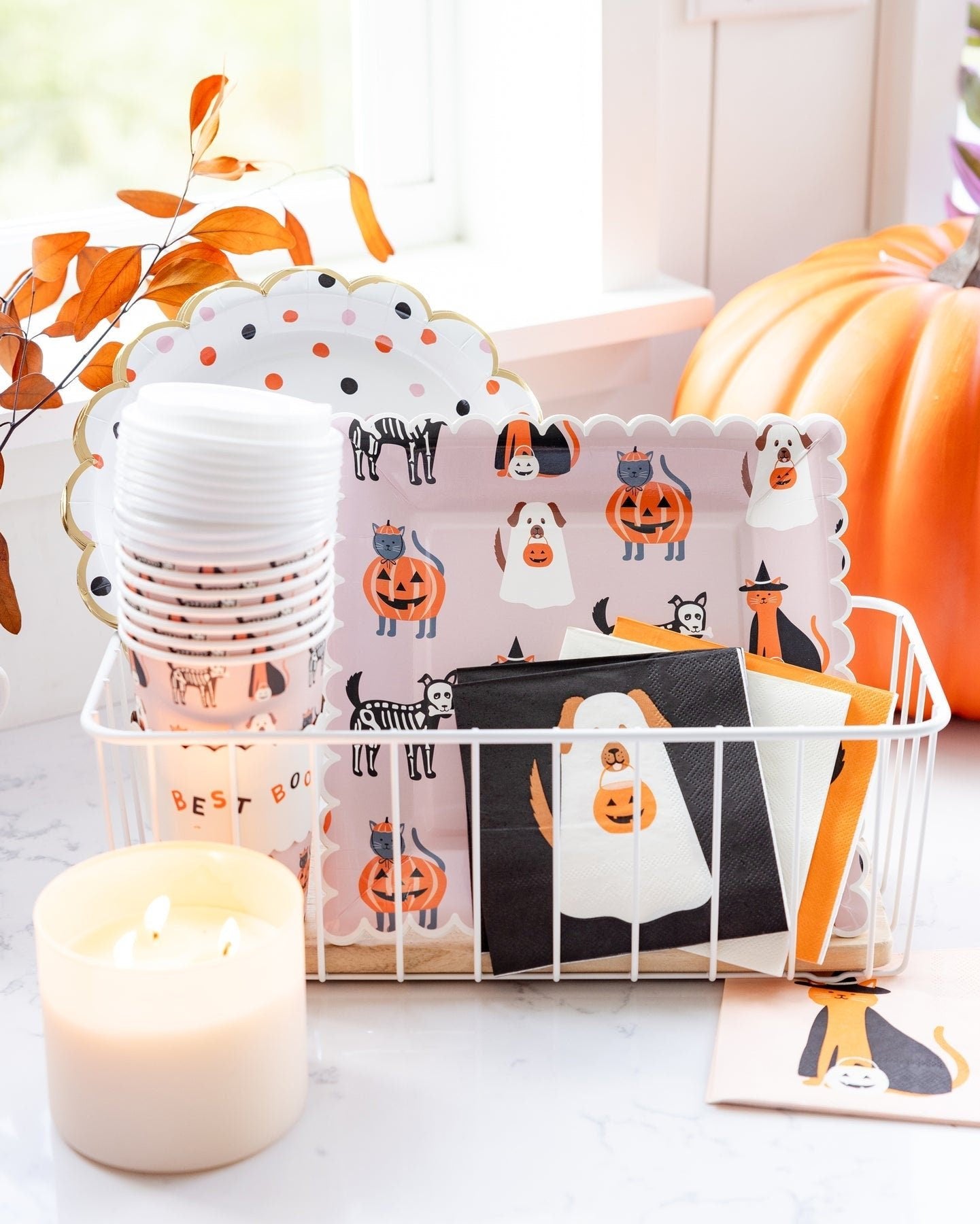 Halloween Pet Plates - Stesha Party