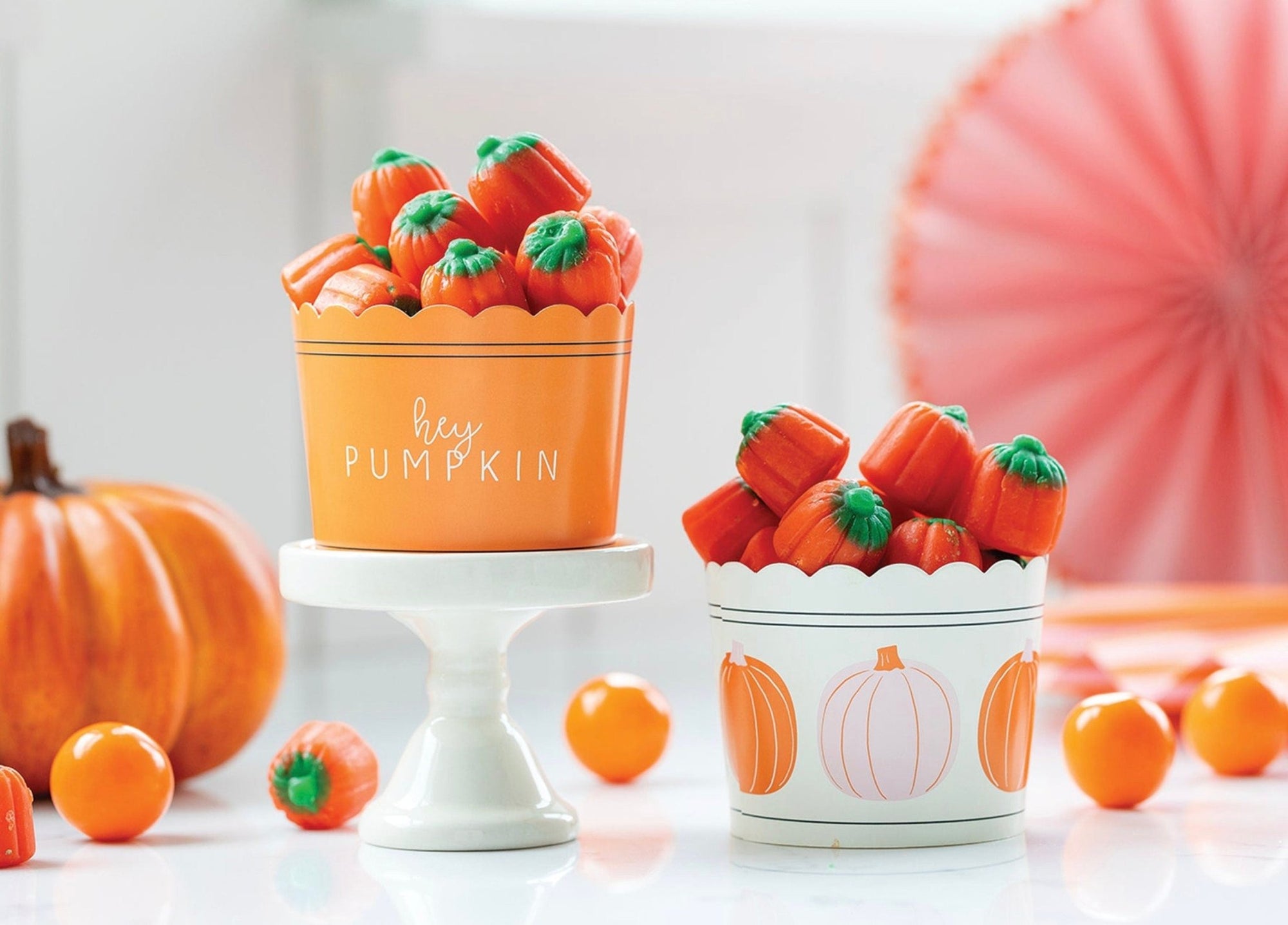 Hey Pumpkin Baking Cups - Stesha Party