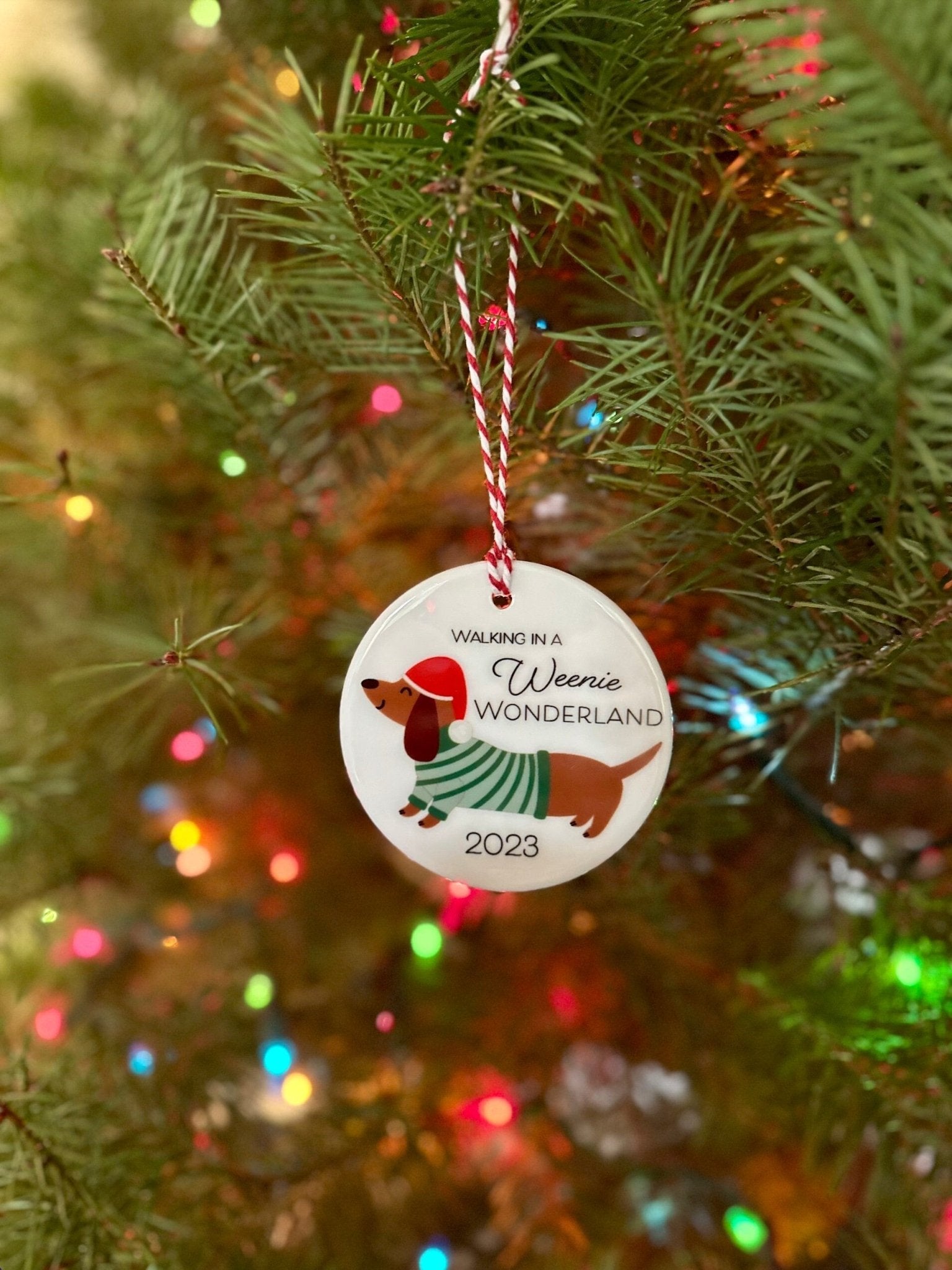Holiday Weiner Dog Ornament - Stesha Party
