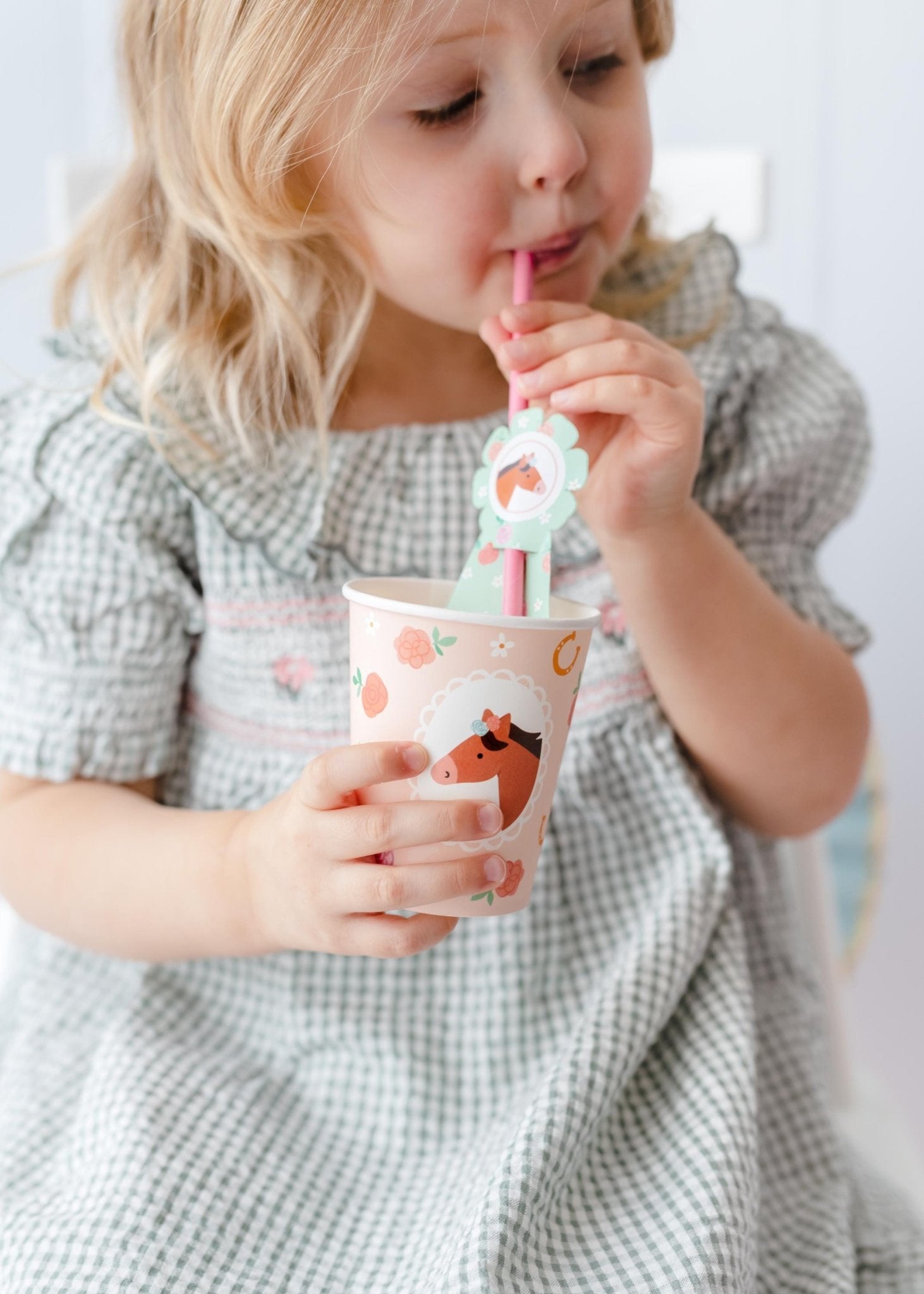 Horse Party Cups 6ct - Stesha Party