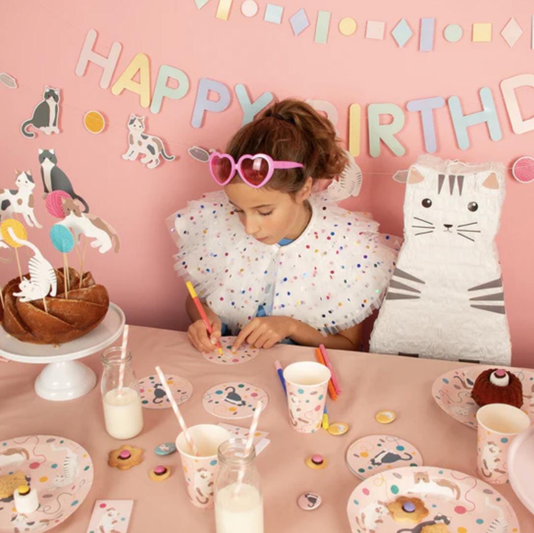 Kitty Cat Party Banner - Stesha Party