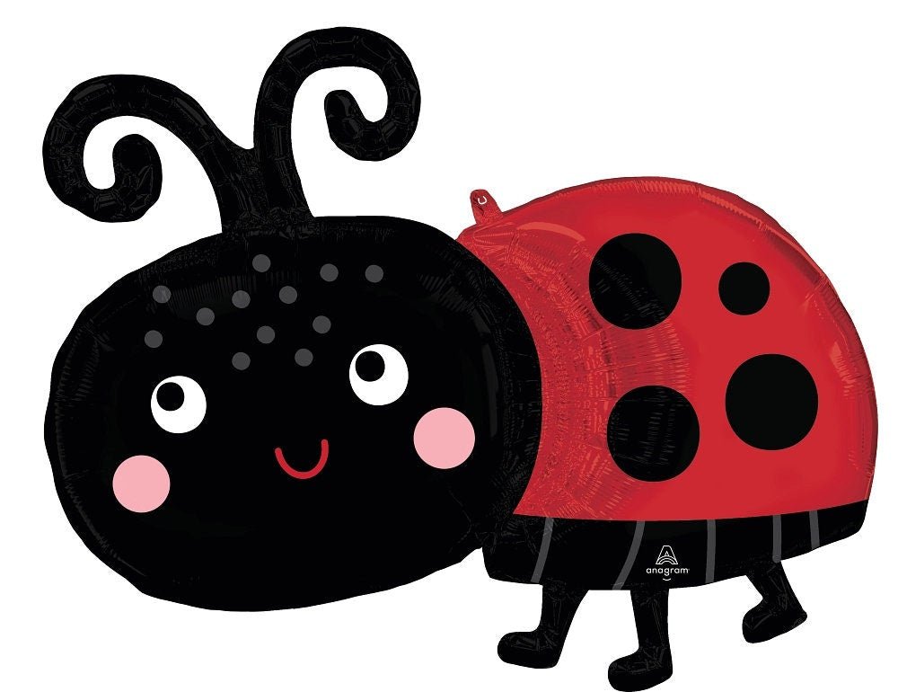 Ladybug Balloon - Stesha Party