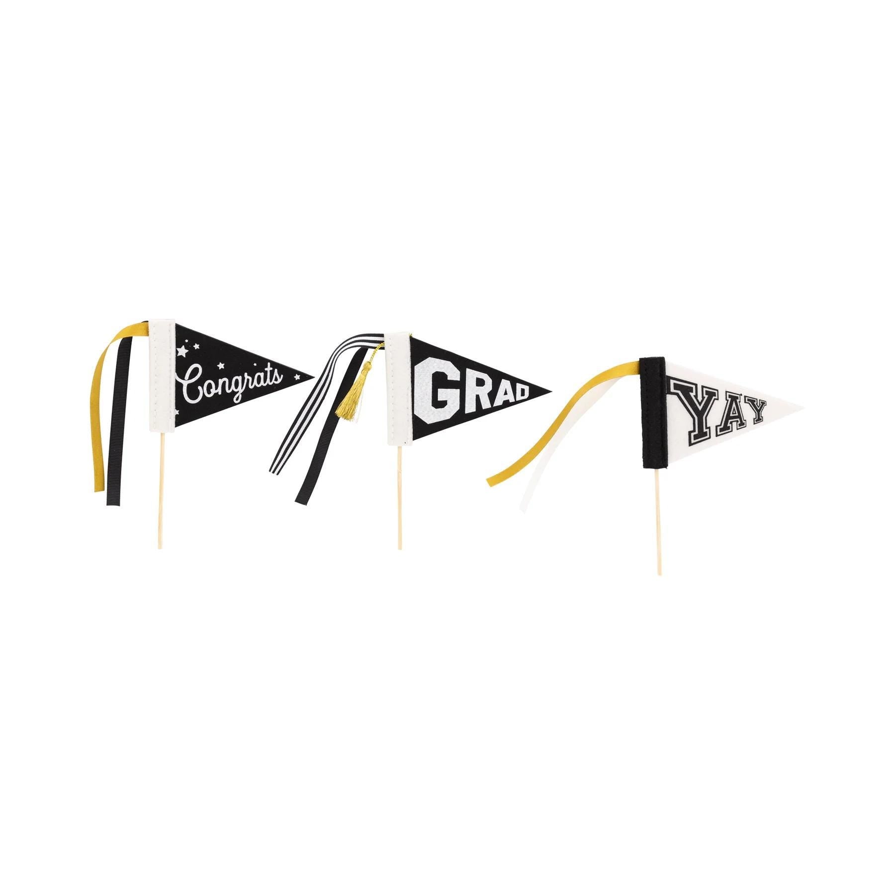 Mini Graduation Felt Pennant Set 3ct - Stesha Party