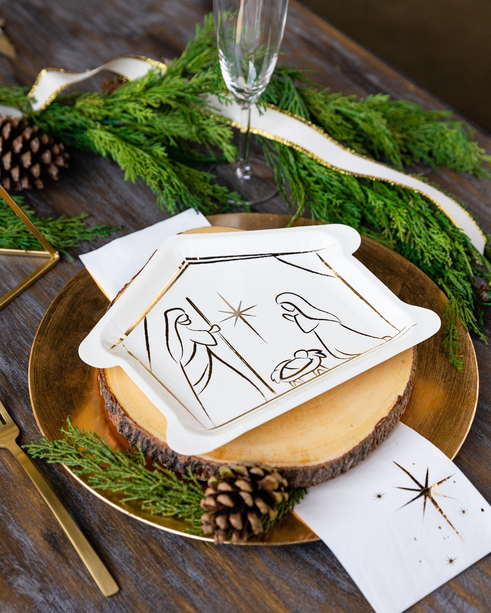 Nativity Christmas Plates - Stesha Party