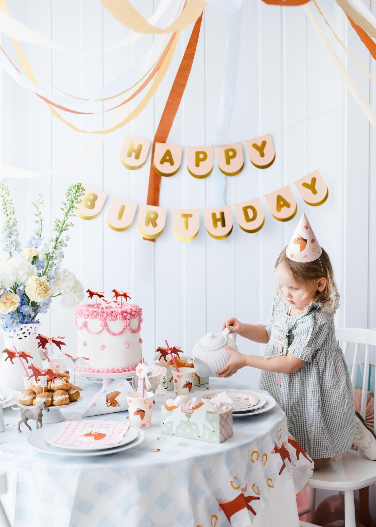 Pony Party Hats 6ct - Stesha Party