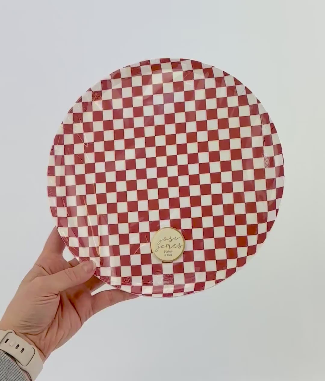 Red Checkered Paper Plates 8ct - Firetruck Party Decorations, Barbecue Party Plates, Transportation Party, Train Baby Shower, Summer Picnic