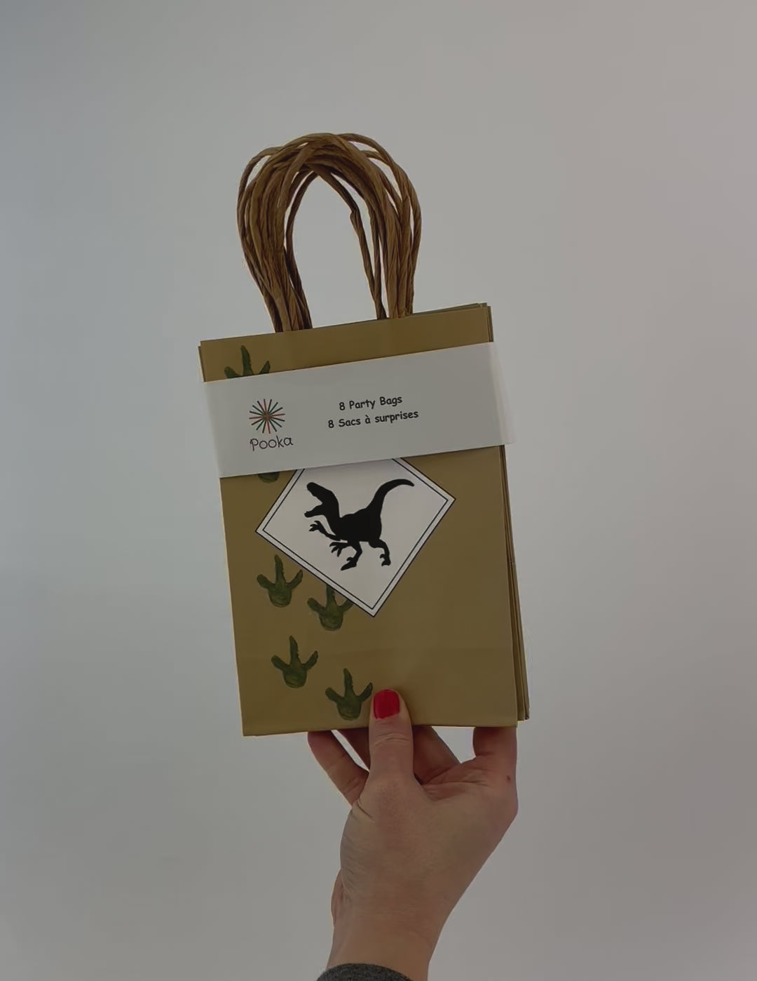 Dinosaur Party Bags 8ct