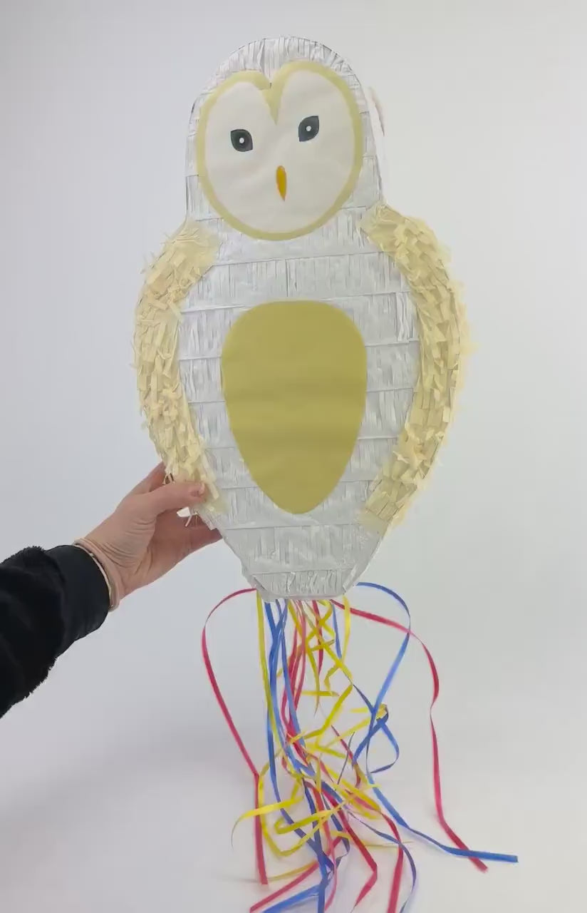 Owl Party Pinata