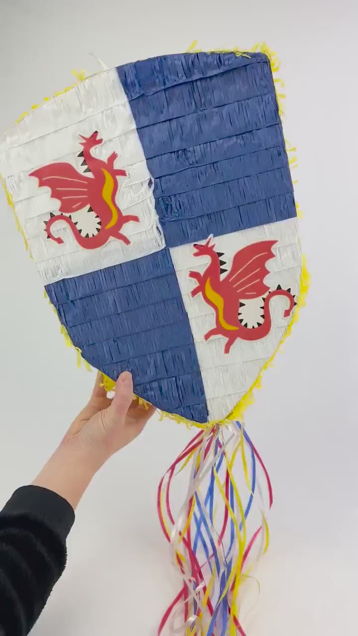 Knight Shield Party Pinata
