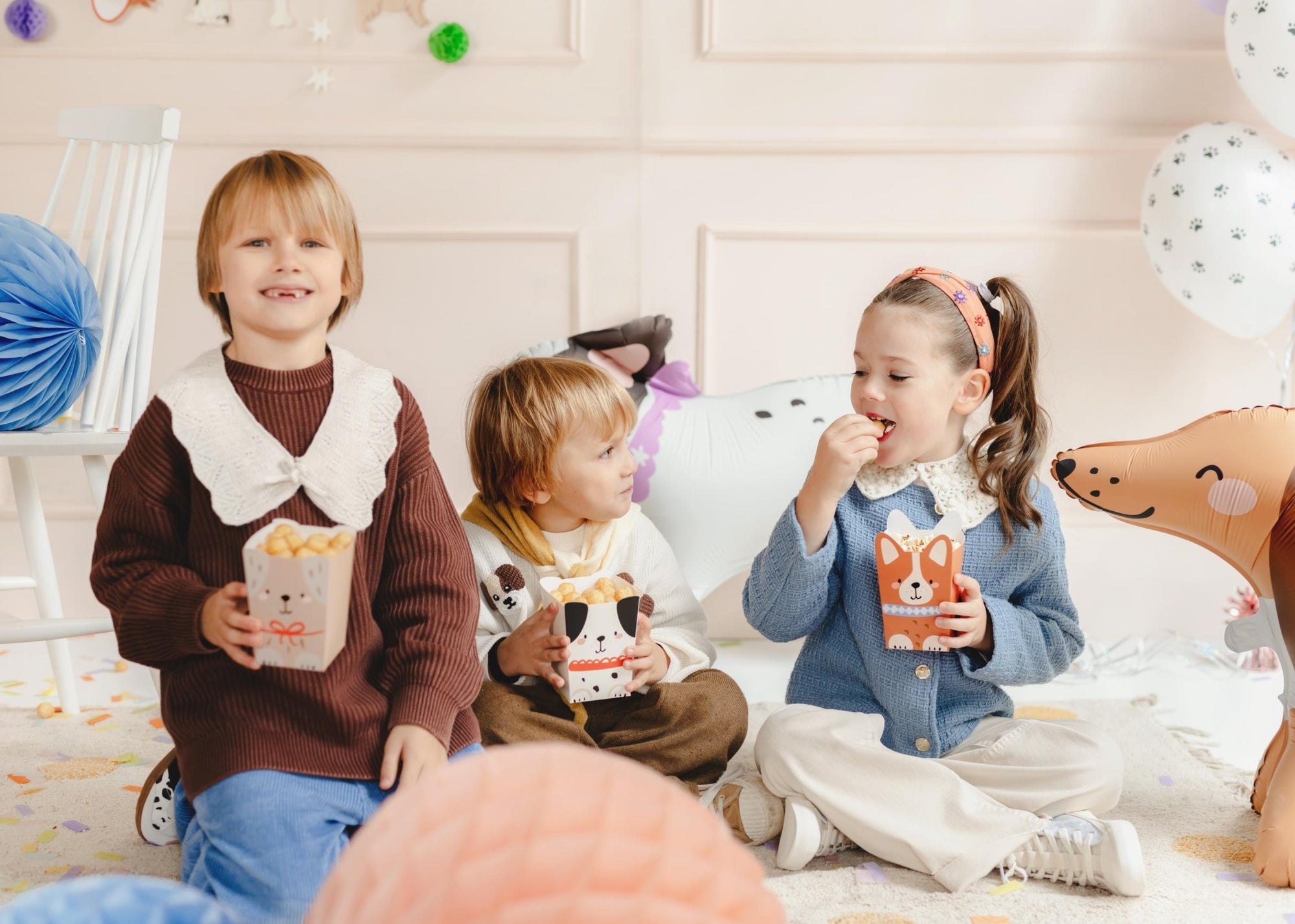 Puppy Treat Party Boxes 6ct - Stesha Party