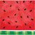 Red Melon Party Napkins - Stesha Party