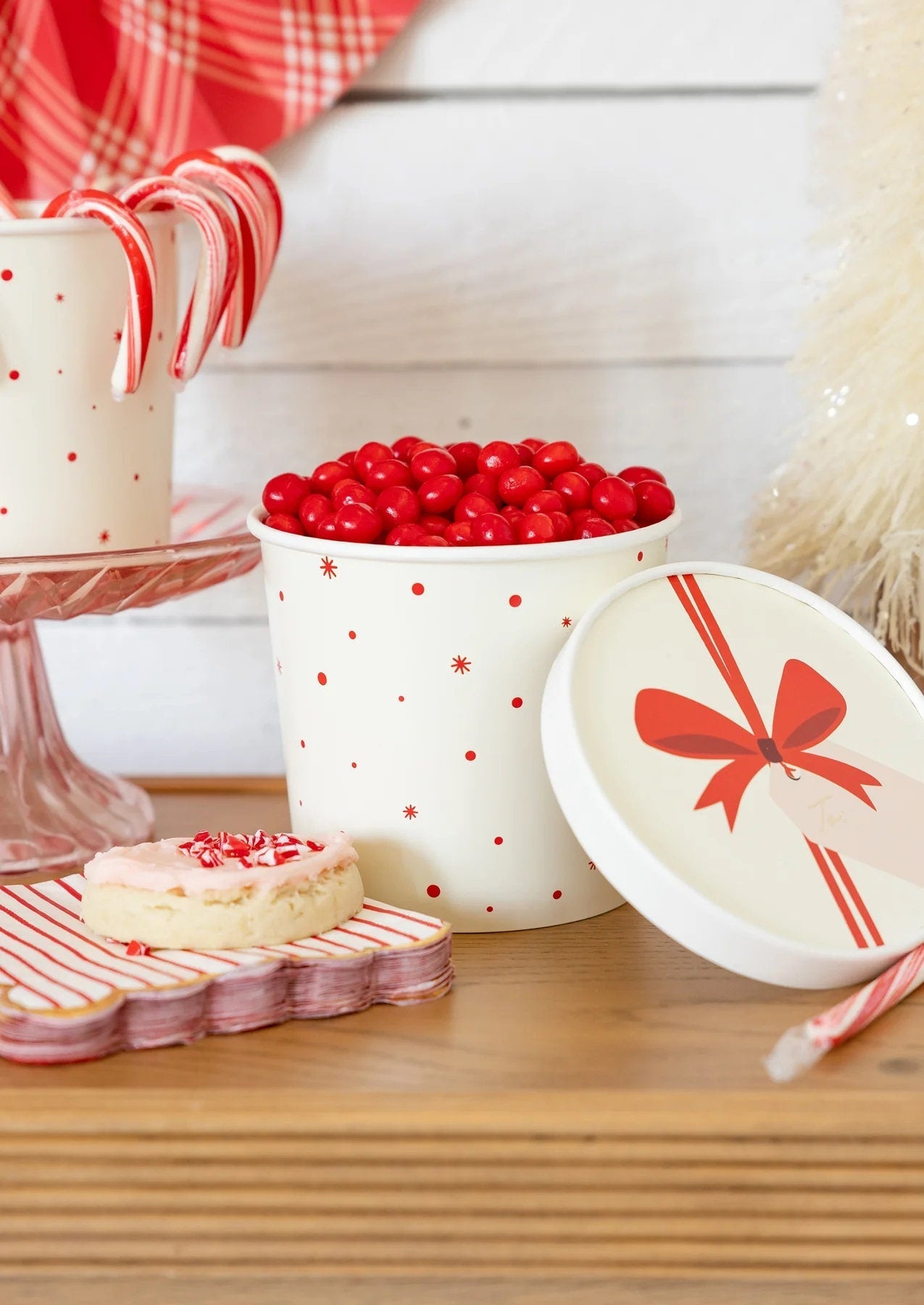 Red & White Striped Napkins - Stesha Party