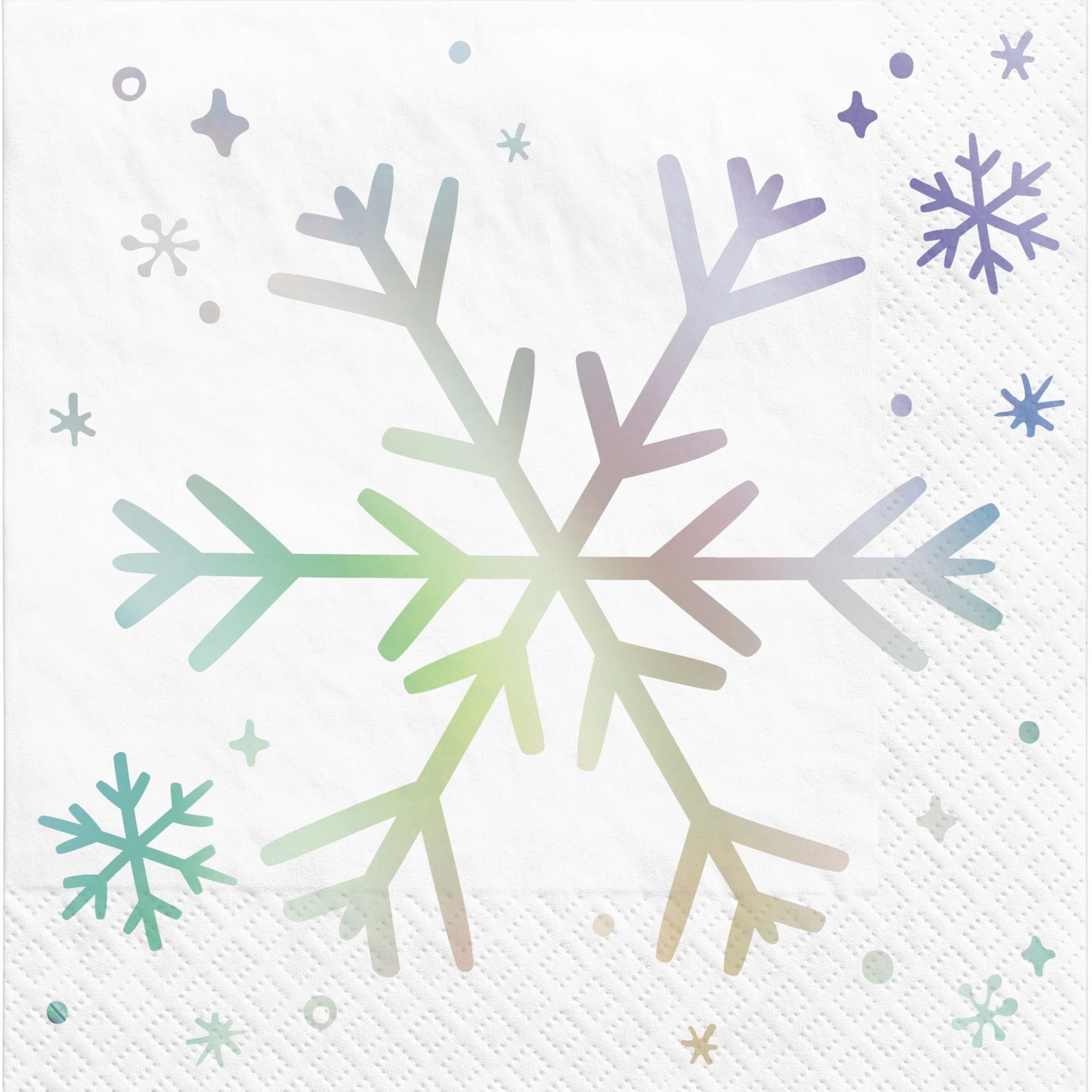 Silver Iridescent Snowflake Supplies - Stesha Party