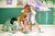 Triceratops Party Balloon - Stesha Party