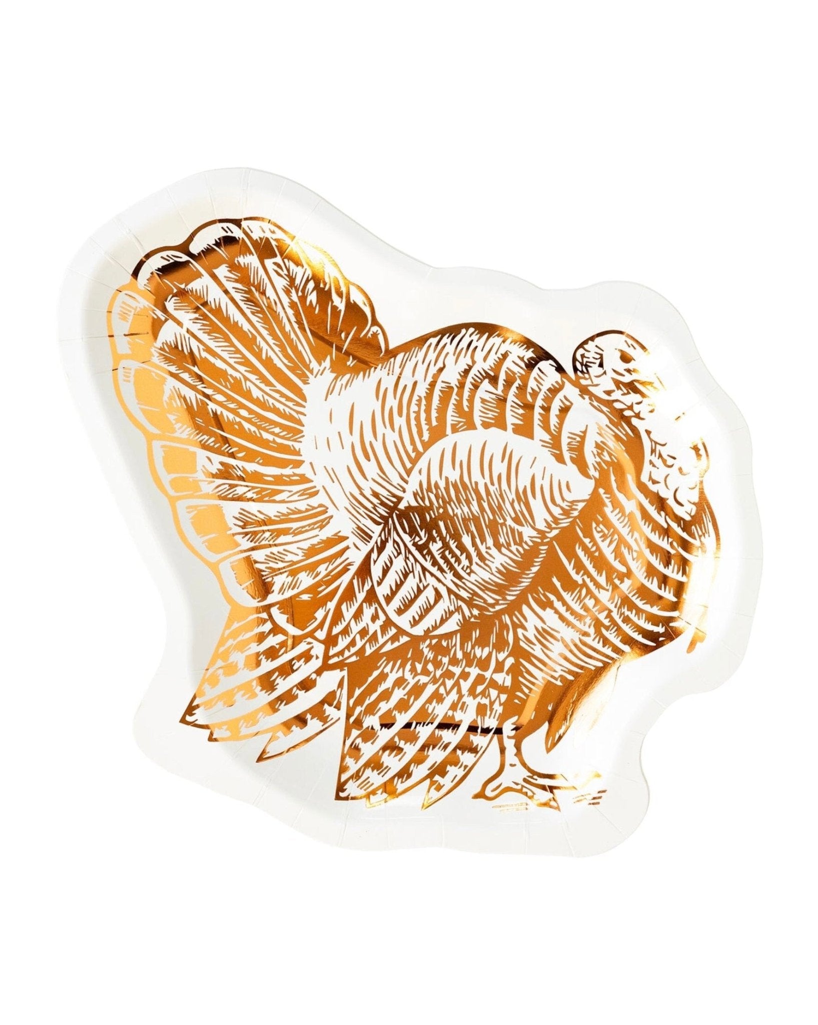 Turkey Party Plates - Stesha Party