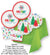 Vibrant Holiday Party Plate & Napkin Set - Stesha Party