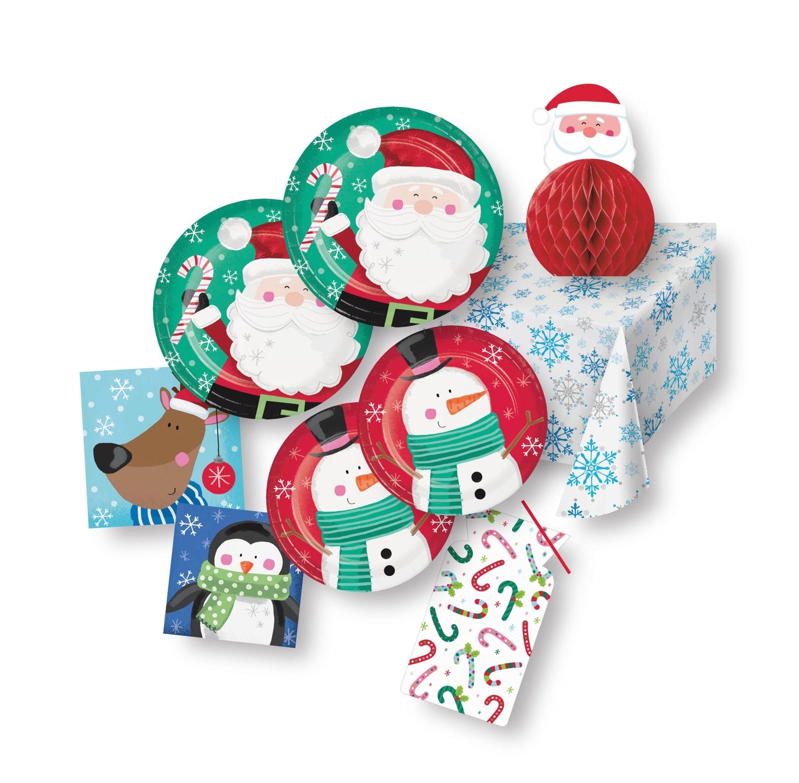 Winter Wonderland Santa Party Supplies Set - Stesha Party