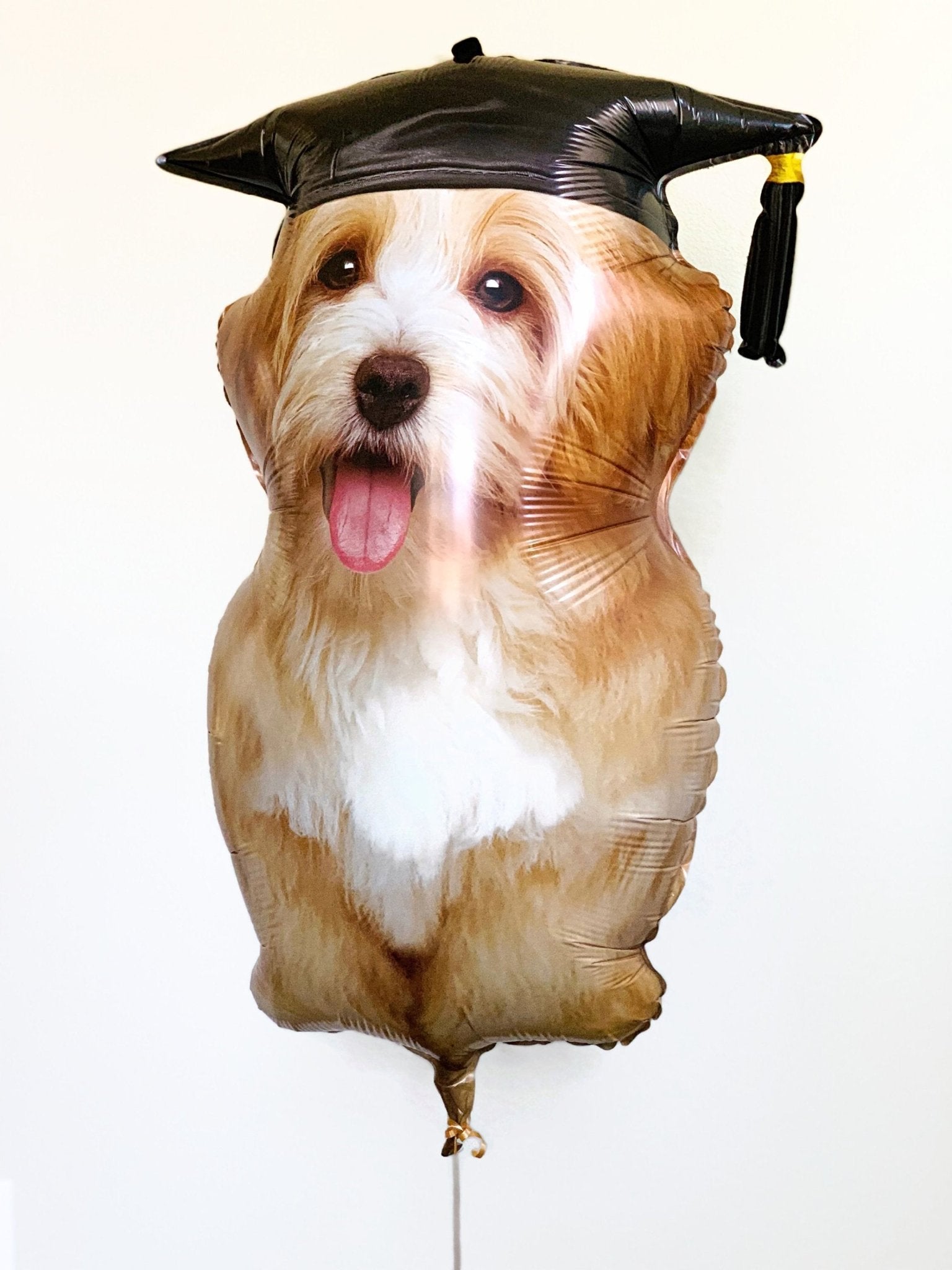 32" Graduation Dog Balloon - Stesha Party