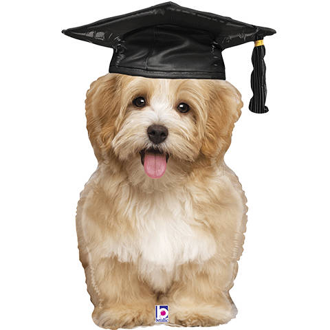 32&quot; Graduation Dog Balloon - Stesha Party