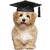 32" Graduation Dog Balloon - Stesha Party