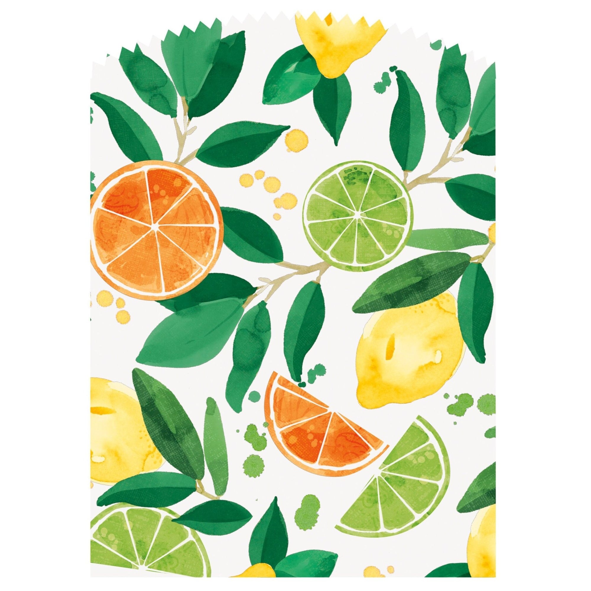 6 Citrus Fruit Favor Bags - Stesha Party