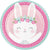 9" Bunny Plates - Stesha Party