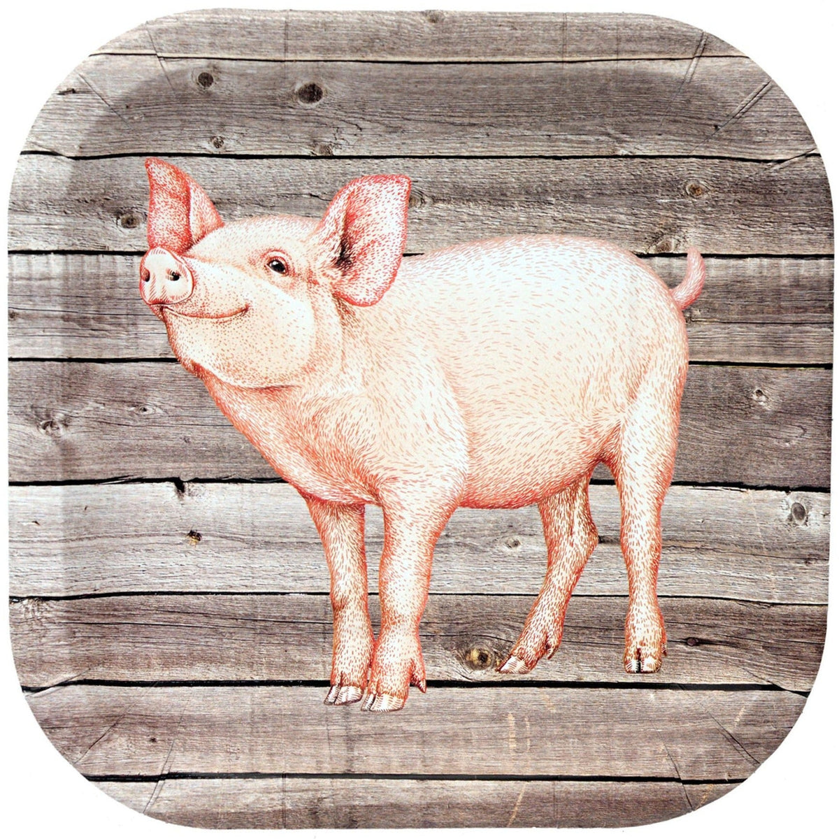 9&quot; Pig Party Plates - Stesha Party