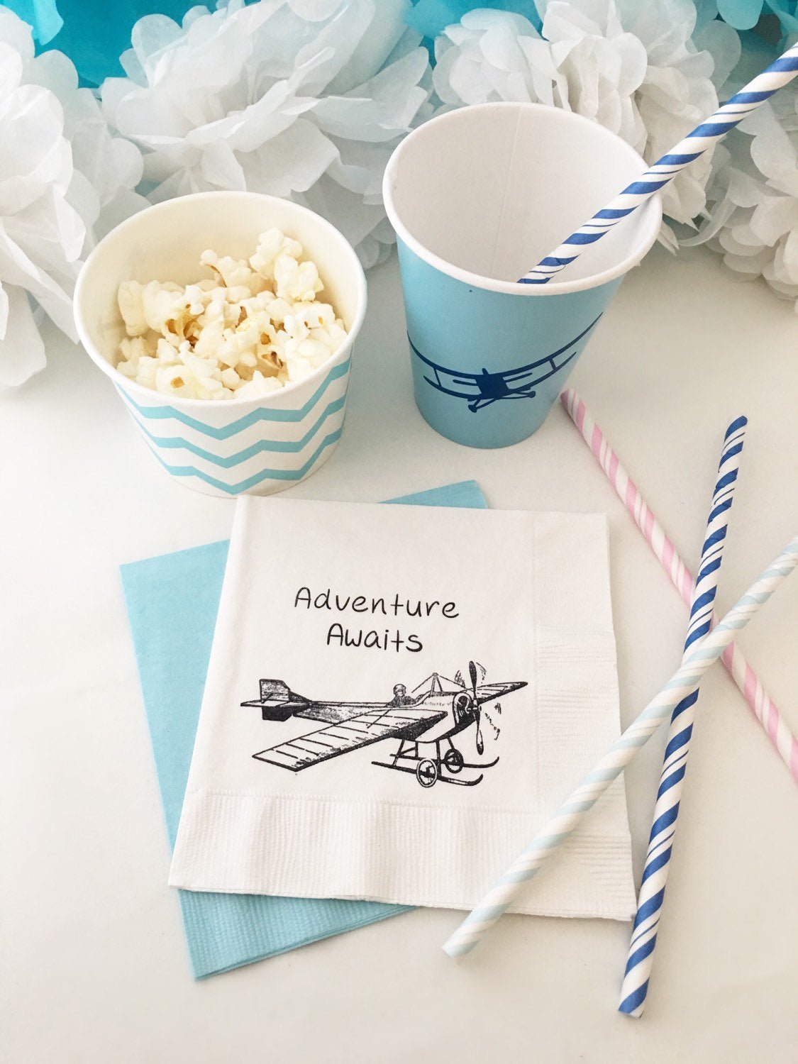 Airplane Napkins &quot;Adventure Awaits&quot; - Stesha Party