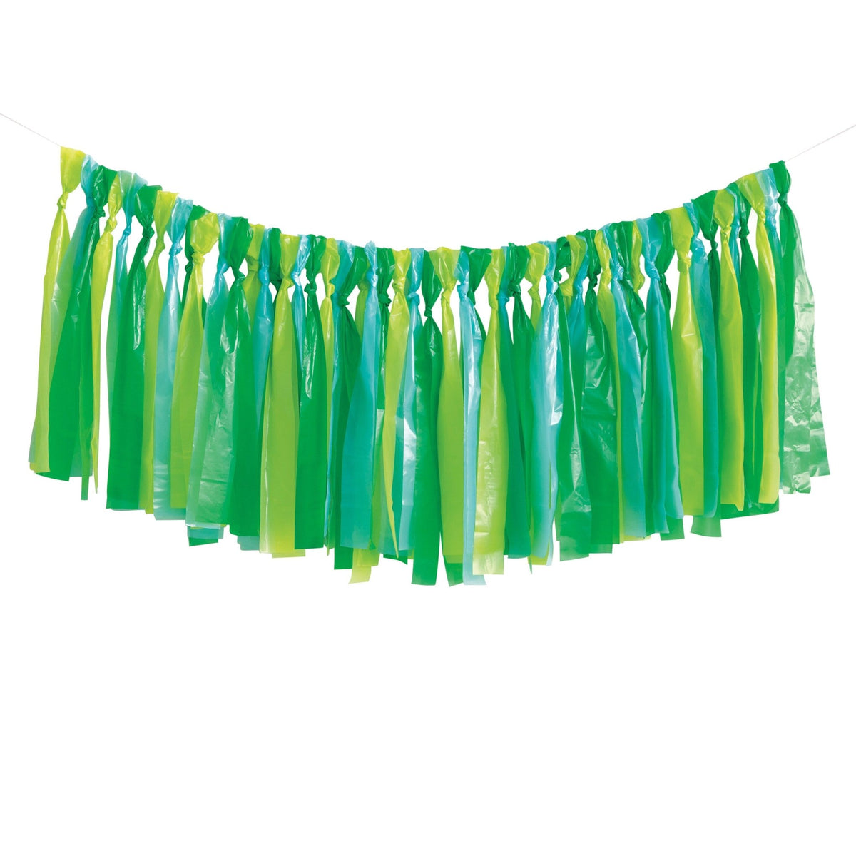 Blue &amp; Green Fringe Backdrop Banner - Stesha Party