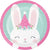 Bunny Party Plates - Stesha Party