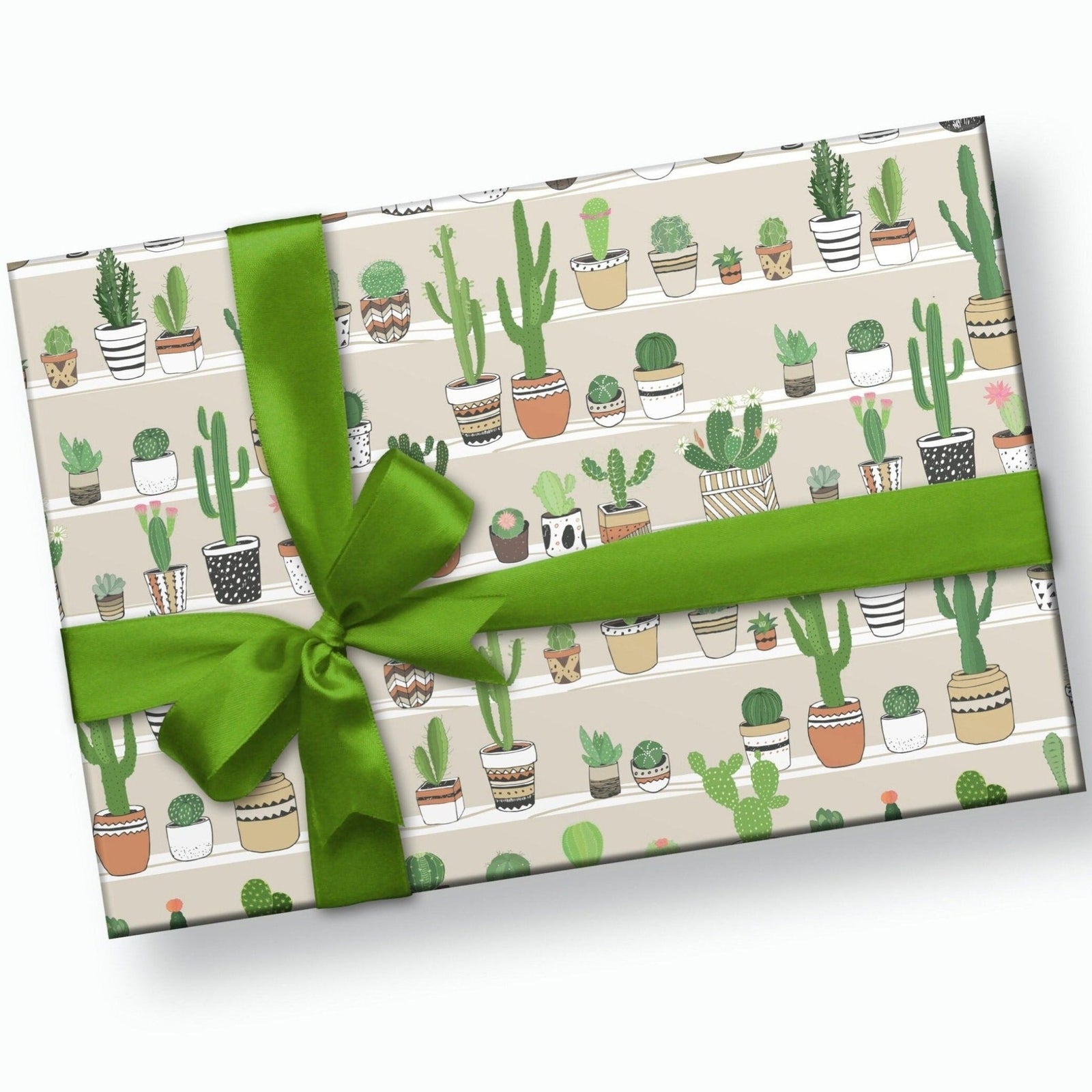 Cactus Plant Wrapping Paper - Stesha Party