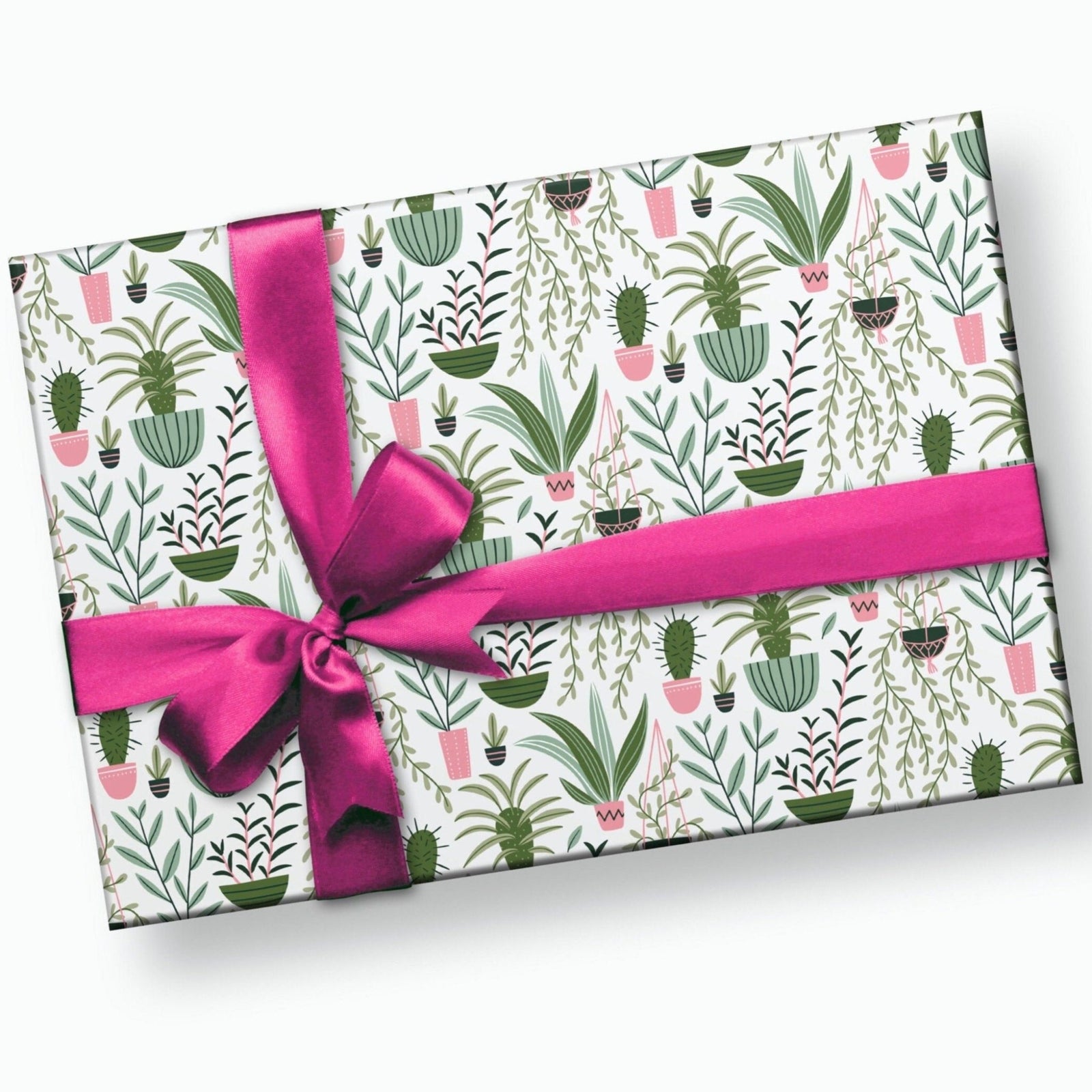 Cactus Plant Wrapping Paper - Stesha Party