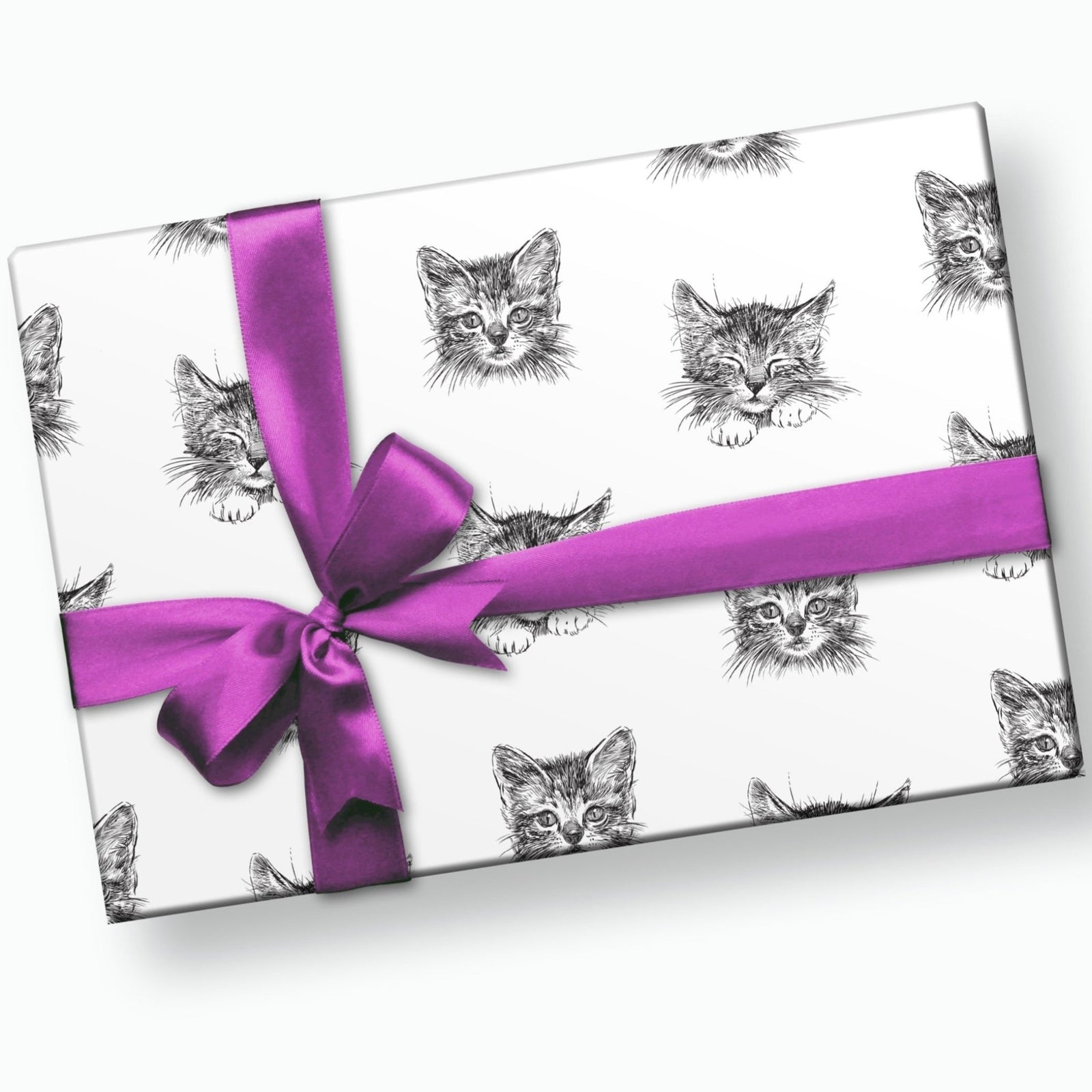 Cat Wrapping Paper - Stesha Party