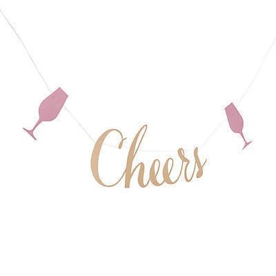 Cheers Banner - Stesha Party